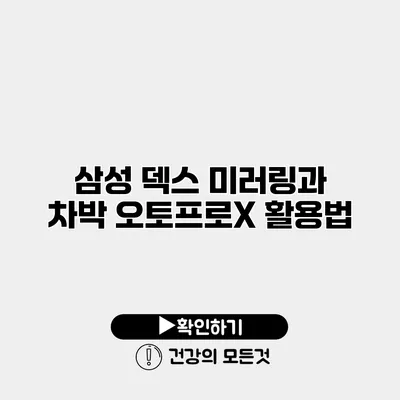 삼성 덱스 미러링과 차박 오토프로X 활용법
