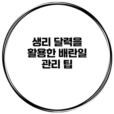생리 달력을 활용한 배란일 관리 팁