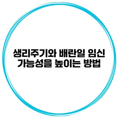 생리주기와 배란일 임신 가능성을 높이는 방법