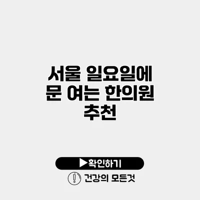 서울 일요일에 문 여는 한의원 추천