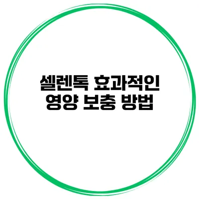 셀렌톡 효과적인 영양 보충 방법