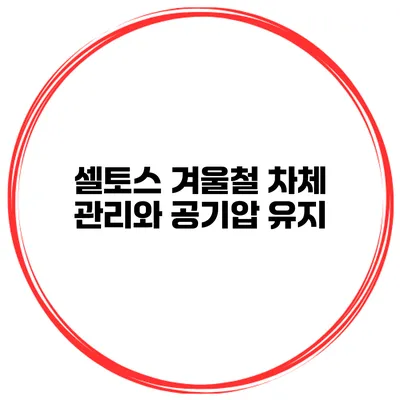 셀토스 겨울철 차체 관리와 공기압 유지