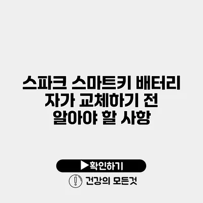 스파크 스마트키 배터리 자가 교체하기 전 알아야 할 사항