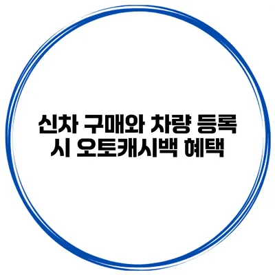 신차 구매와 차량 등록 시 오토캐시백 혜택