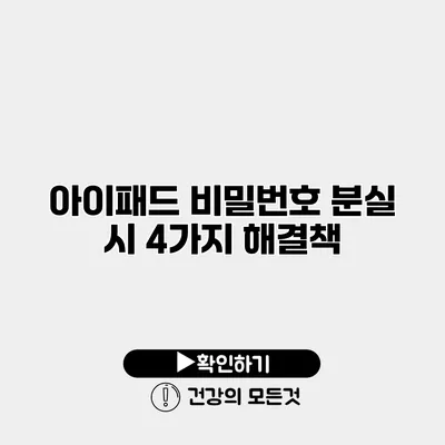 아이패드 비밀번호 분실 시 4가지 해결책