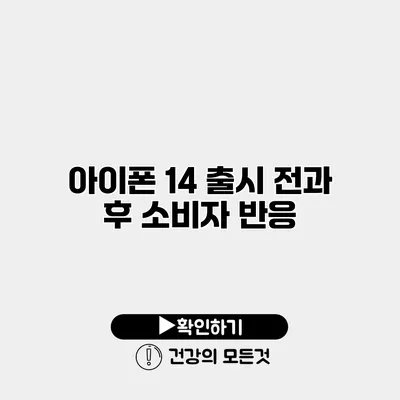 아이폰 14 출시 전과 후 소비자 반응