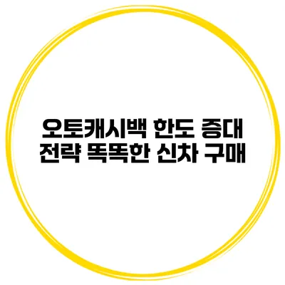 오토캐시백 한도 증대 전략 똑똑한 신차 구매