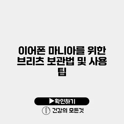이어폰 마니아를 위한 브리츠 보관법 및 사용 팁