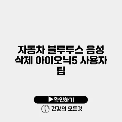 자동차 블루투스 음성 삭제 아이오닉5 사용자 팁