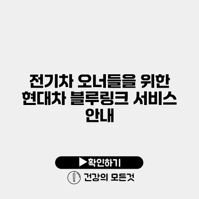 전기차 오너들을 위한 현대차 블루링크 서비스 안내