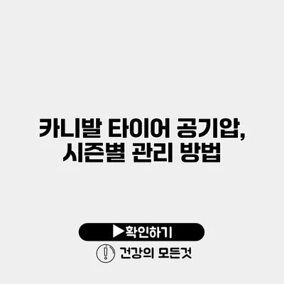 카니발 타이어 공기압, 시즌별 관리 방법