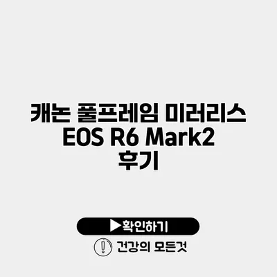 캐논 풀프레임 미러리스 EOS R6 Mark2 후기