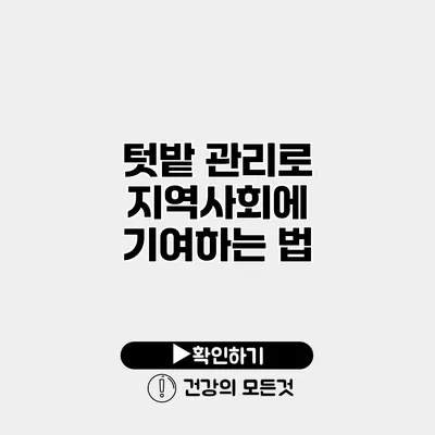 텃밭 관리로 지역사회에 기여하는 법