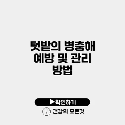 텃밭의 병충해 예방 및 관리 방법