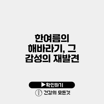 한여름의 해바라기, 그 감성의 재발견