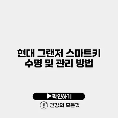 현대 그랜저 스마트키 수명 및 관리 방법